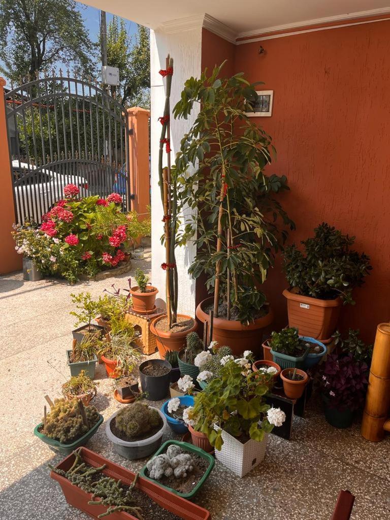 Guest House Chexovi 24 كوبوليتي المظهر الخارجي الصورة