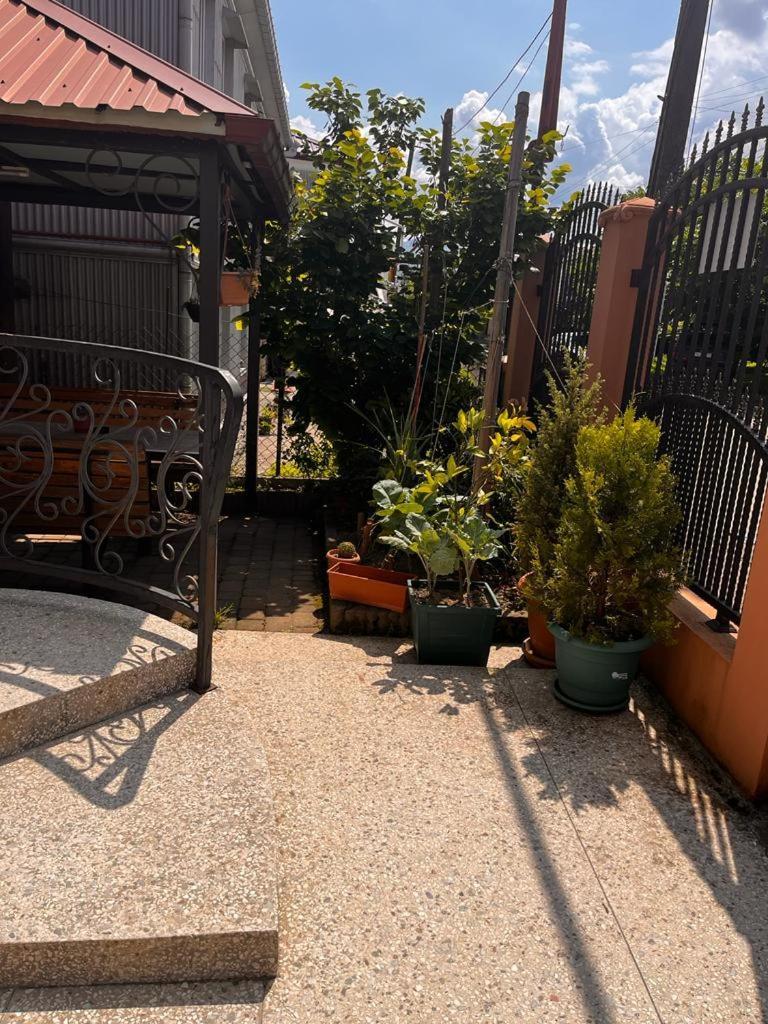 Guest House Chexovi 24 كوبوليتي المظهر الخارجي الصورة