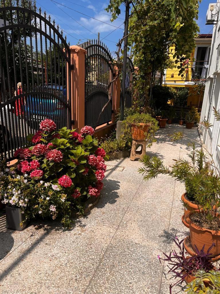 Guest House Chexovi 24 كوبوليتي المظهر الخارجي الصورة